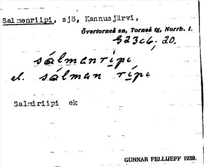Bild på arkivkortet för arkivposten Salmenriipi