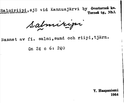 Bild på arkivkortet för arkivposten Salmiriipi
