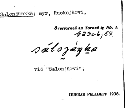 Bild på arkivkortet för arkivposten Salonjänkkä