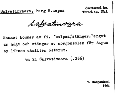 Bild på arkivkortet för arkivposten Salvatinvaara