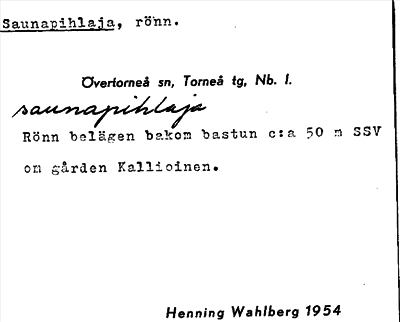 Bild på arkivkortet för arkivposten Saunapihlaja