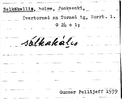 Bild på arkivkortet för arkivposten Selkäkallio
