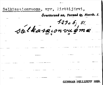 Bild på arkivkortet för arkivposten Selkäsaaionvuoma