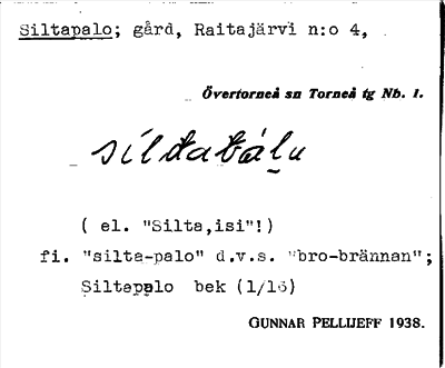 Bild på arkivkortet för arkivposten Siltapalo