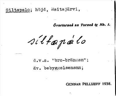 Bild på arkivkortet för arkivposten Siltapalo