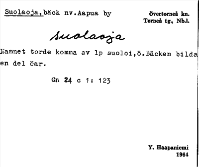 Bild på arkivkortet för arkivposten Suolaoja