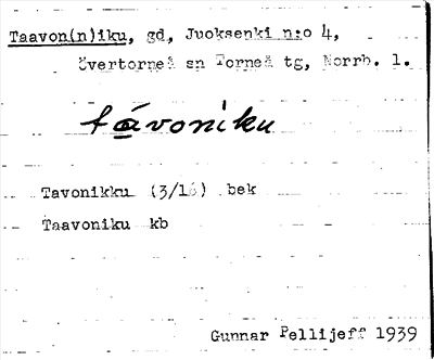 Bild på arkivkortet för arkivposten Taavon(n)iku