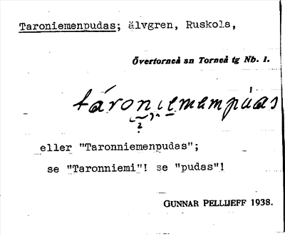 Bild på arkivkortet för arkivposten Taroniemenpudas