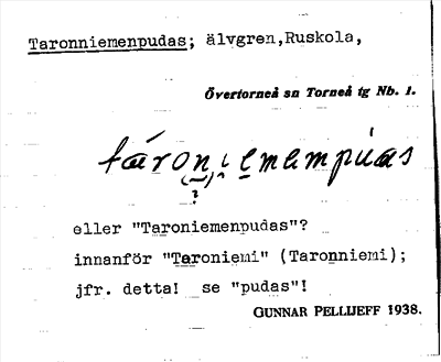 Bild på arkivkortet för arkivposten Taronniemenpudas