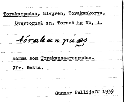 Bild på arkivkortet för arkivposten Torakanpudas