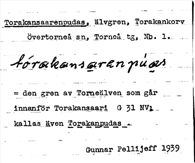 Bild på arkivkortet för arkivposten Torakansaarenpudas