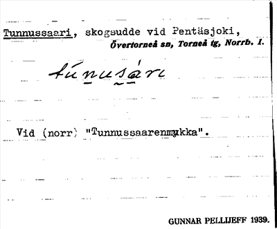 Bild på arkivkortet för arkivposten Tunnussaari