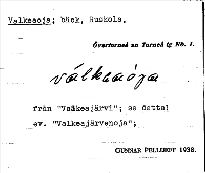Bild på arkivkortet för arkivposten Valkeaoja