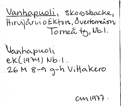 Bild på arkivkortet för arkivposten Vanhapuoli