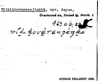 Bild på arkivkortet för arkivposten Vitsikkovaaranjänkkä