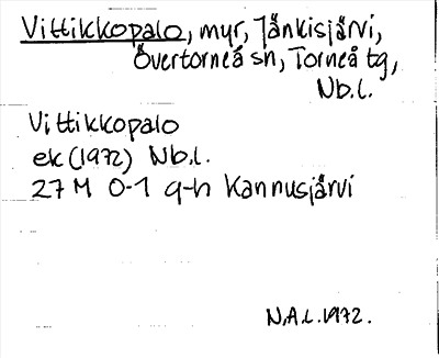 Bild på arkivkortet för arkivposten Vittikkopalo