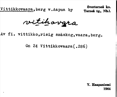 Bild på arkivkortet för arkivposten Vittikkovaara