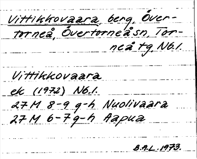Bild på arkivkortet för arkivposten Vittikkovaara
