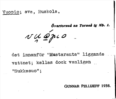 Bild på arkivkortet för arkivposten Vuopio