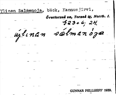 Bild på arkivkortet för arkivposten Ylinen Salmenoja