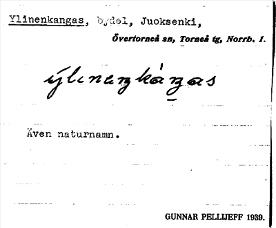Bild på arkivkortet för arkivposten Ylinenkangas