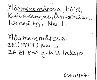 Bild på arkivkortet för arkivposten Ylösmenemärova