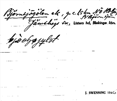 Bild på arkivkortet för arkivposten Björnsjögölen