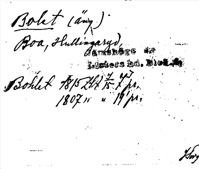 Bild på arkivkortet för arkivposten Bolet