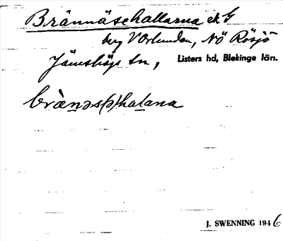 Bild på arkivkortet för arkivposten Brännäsehallarna