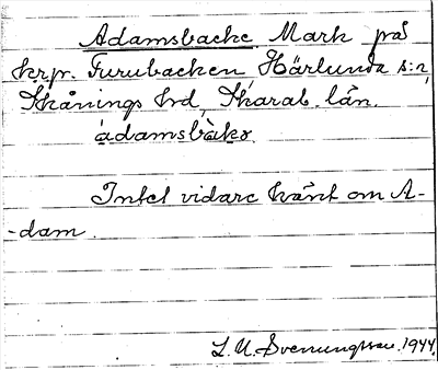 Bild på arkivkortet för arkivposten Adamsbacke