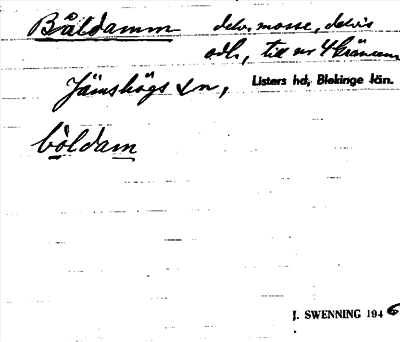 Bild på arkivkortet för arkivposten Båldamm