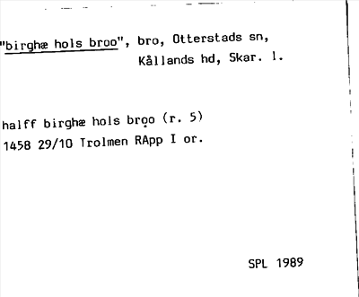 Bild på arkivkortet för arkivposten »birghæ hols broo»