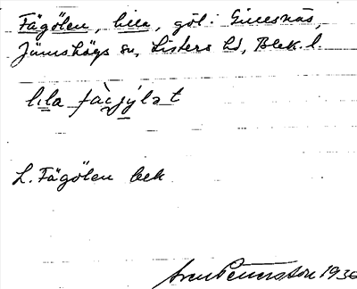 Bild på arkivkortet för arkivposten Fägölen, Lilla