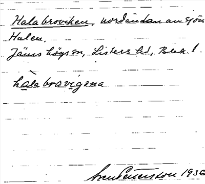 Bild på arkivkortet för arkivposten Halabroviken