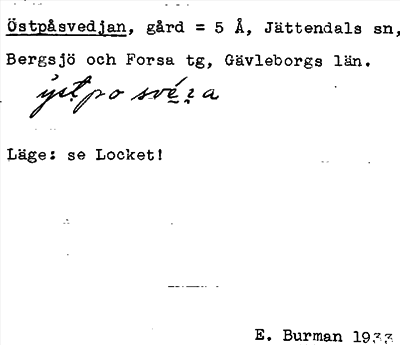 Bild på arkivkortet för arkivposten Östpåsvedjan