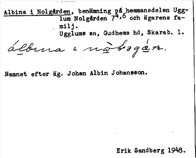 Bild på arkivkortet för arkivposten Albina i Nolgården