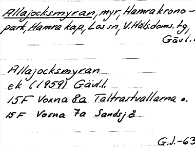 Bild på arkivkortet för arkivposten Allajocksmyran
