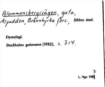 Bild på arkivkortet för arkivposten Blommensbergsvägen