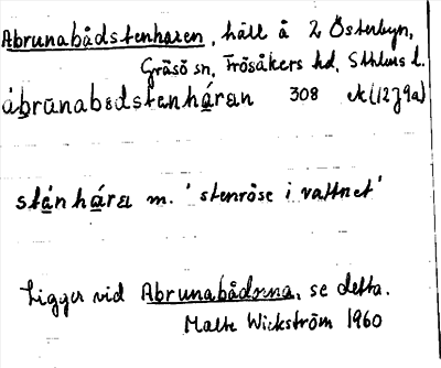 Bild på arkivkortet för arkivposten Abrunabådstenharen