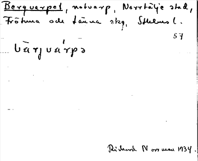 Bild på arkivkortet för arkivposten Bergvarpet