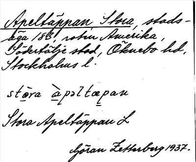Bild på arkivkortet för arkivposten Apeltäppan, Stora