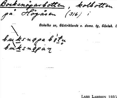 Bild på arkivkortet för arkivposten Bocksnöparbotten