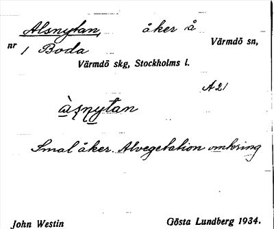 Bild på arkivkortet för arkivposten Alsnytan