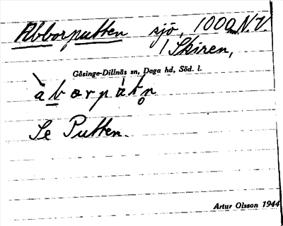 Bild på arkivkortet för arkivposten Abborputten, se Putten