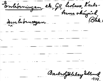 Bild på arkivkortet för arkivposten Enhörningen
