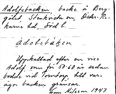 Bild på arkivkortet för arkivposten Adolfsbacken