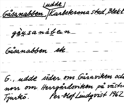Bild på arkivkortet för arkivposten Gåsanabben