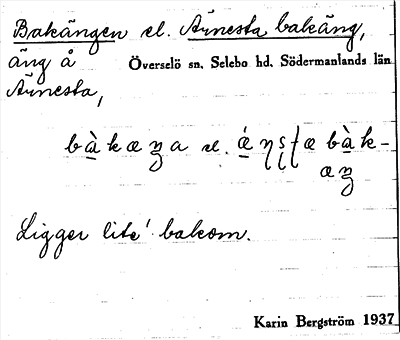 Bild på arkivkortet för arkivposten Bakängen el. Ärnesta bakäng