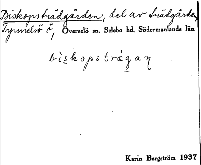 Bild på arkivkortet för arkivposten Biskopsträdgården