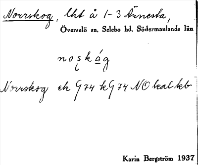 Bild på arkivkortet för arkivposten Norrskog